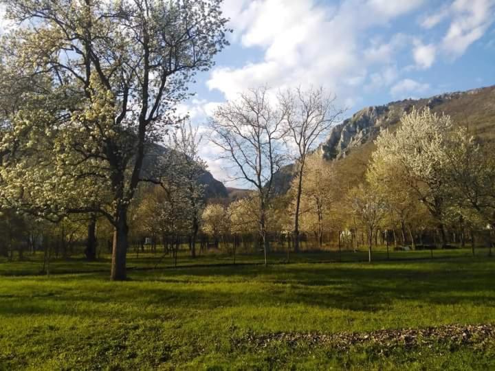 Family Apartman Szádelő - Zádiel Esterno foto